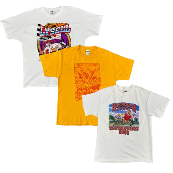 Fruit of the Loom T-Shirts 100x
